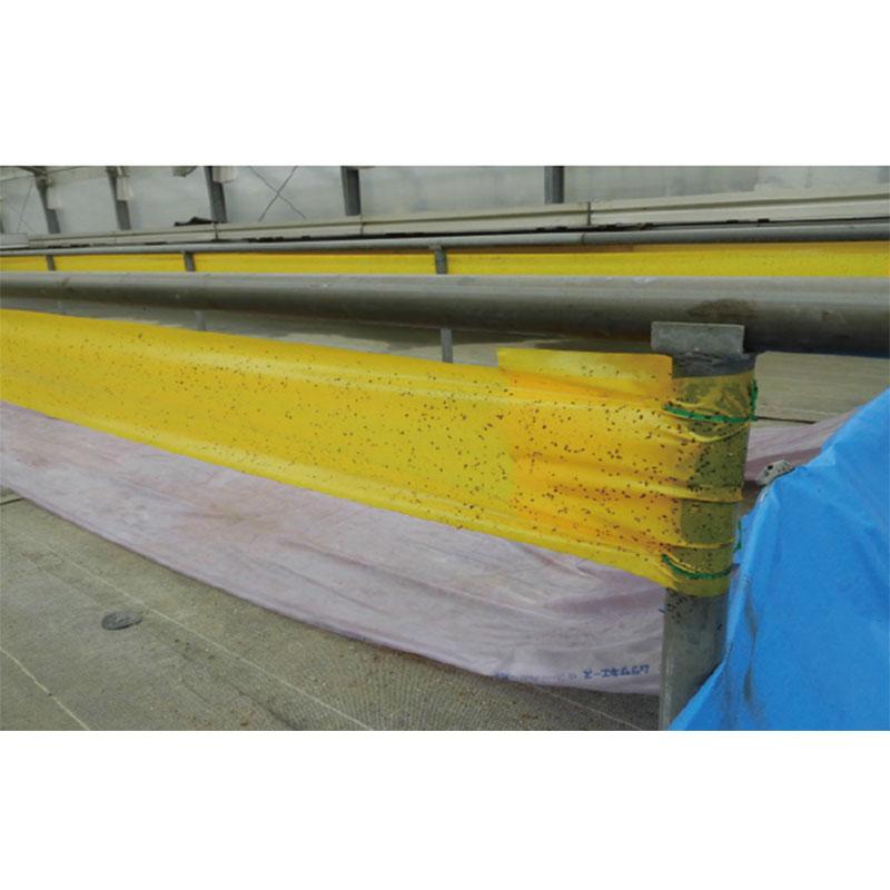 捕虫シート トラップシートロール 10cm×100m 2巻 害虫対策 捕虫 トラップ 粘着テープ 明和 代引不可 |  | 01