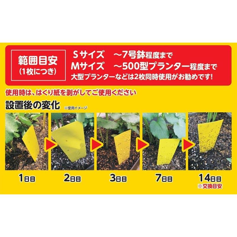 捕虫シート 虫取りトラップラベル 5枚入 Sサイズ 160×50mm 200セット 害虫対策 捕虫 トラップ ラベル型 明和 代引不可 |  | 01