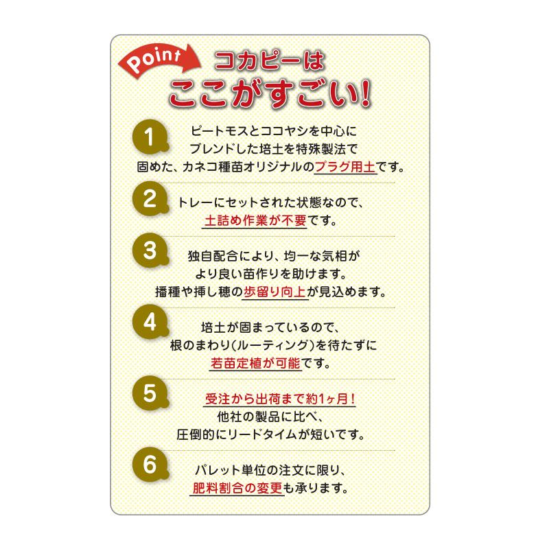 プラグ用土 コカピー 50穴 無加工 STタイプ 10枚 PKS110 培土 園芸 育苗 カ園 個人宅配送不可 代引不可 |  | 02