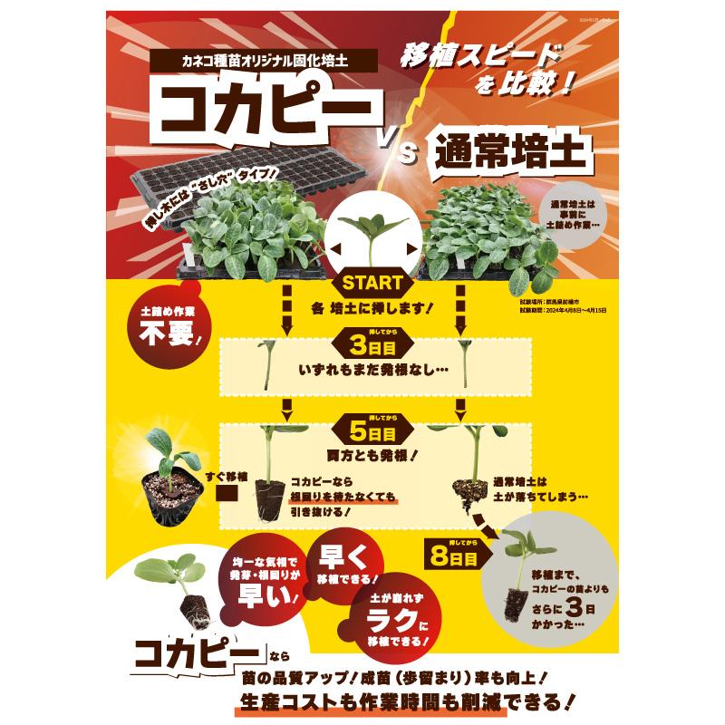 プラグ用土 コカピー 50穴 無加工 STタイプ 10枚 PKS110 培土 園芸 育苗 カ園 個人宅配送不可 代引不可 |  | 04
