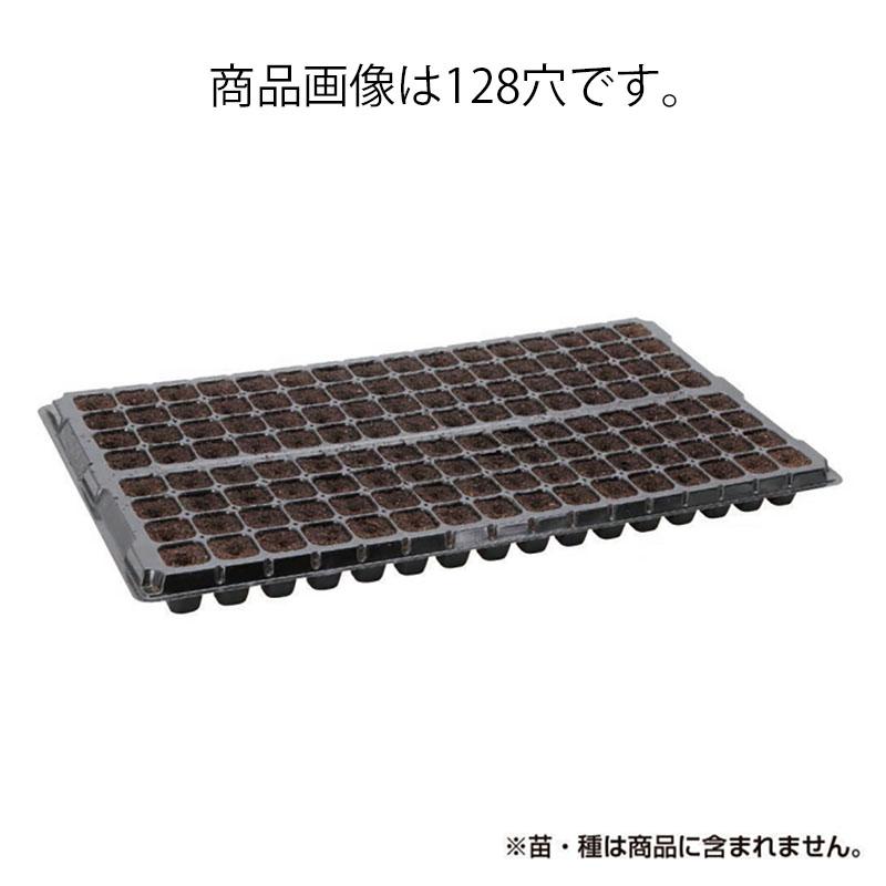 プラグ用土 コカピー 72穴 さし穴 H160タイプ 10枚 PKS124 培土 園芸 育苗 カ園 個人宅配送不可 代引不可 | 