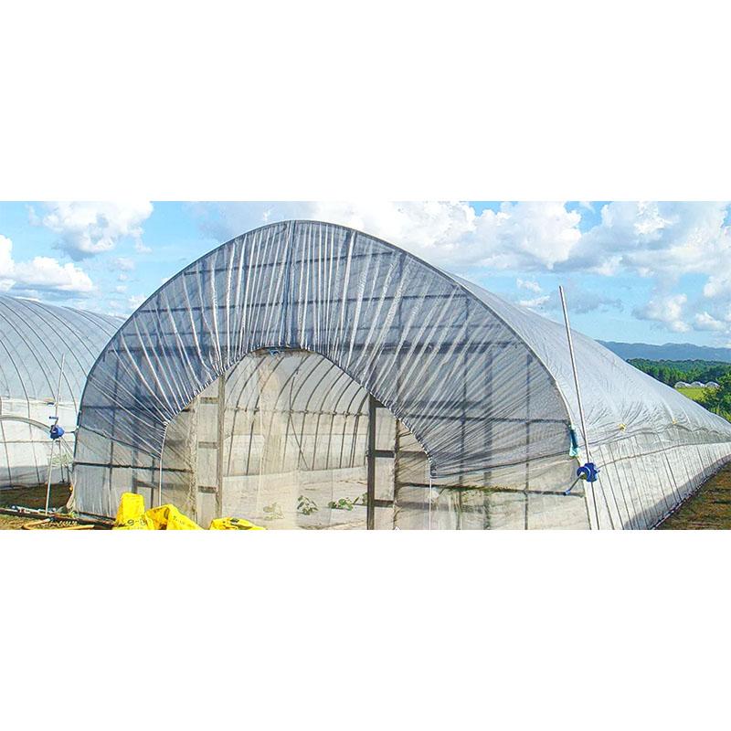 遮光ネット ふあふあ 4.0m×30m 遮光率約60％ SL60 寒冷紗 ダイヤテックス サT 北海道不可 代引不可 |  | 01