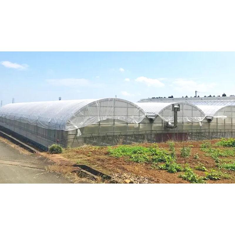 遮熱資材 遮光ネット ふあふあ ホワイトプラス30 5.7m×30m 遮光率約30％ 寒冷紗 ダイヤテックス サT 北海道不可 代引不可 |  | 01