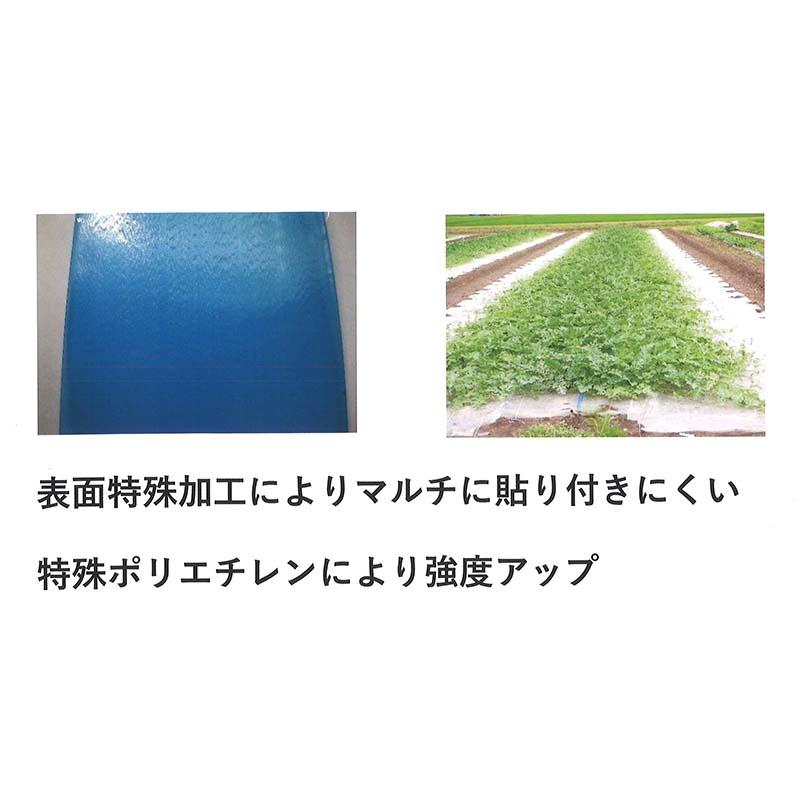 灌水チューブ つかないさん 黒 両面 0.15mm×50mm×200m ピッチ45cm 孔径0.7mm 5巻 潅水 散水 水やり 農業 畑 カミプラス サT 個人宅配送不可 代引不可 |  | 01