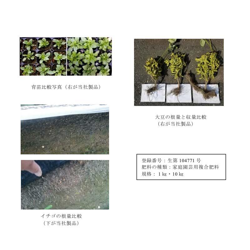 発根生育促進液肥 GABA 1kg 12本 液体 肥料 液肥 農業 園芸 オーガニックランド サT 代引不可_3