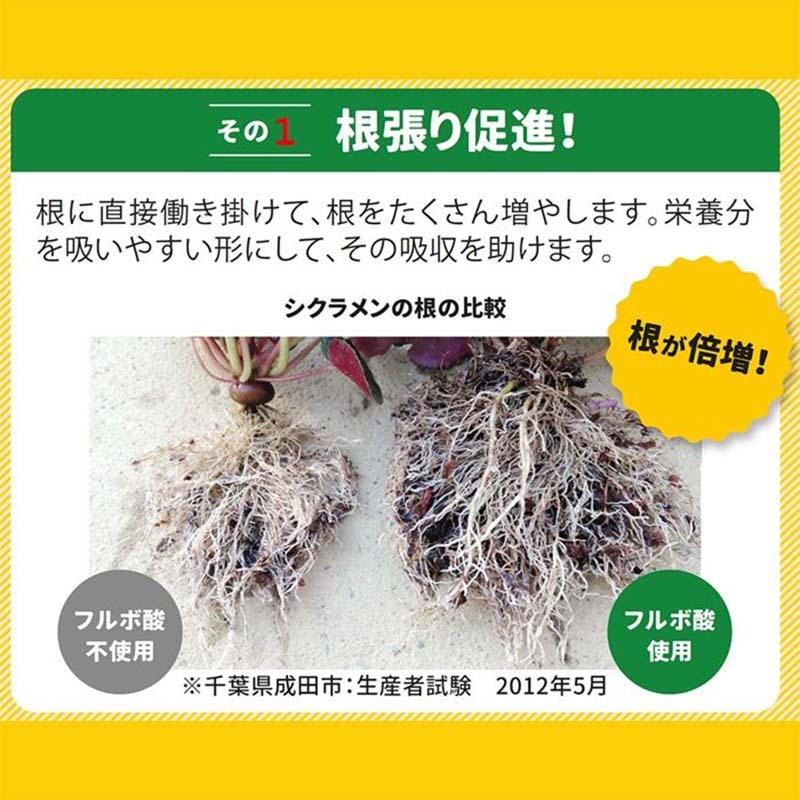 有機質含有肥料 驚くほど根がぐんぐん伸びる素 500g 12袋 細粒 顆粒 肥料 農業 園芸 ピィアイシィバイオ サT 北海道別途送料 代引不可 |  | 01