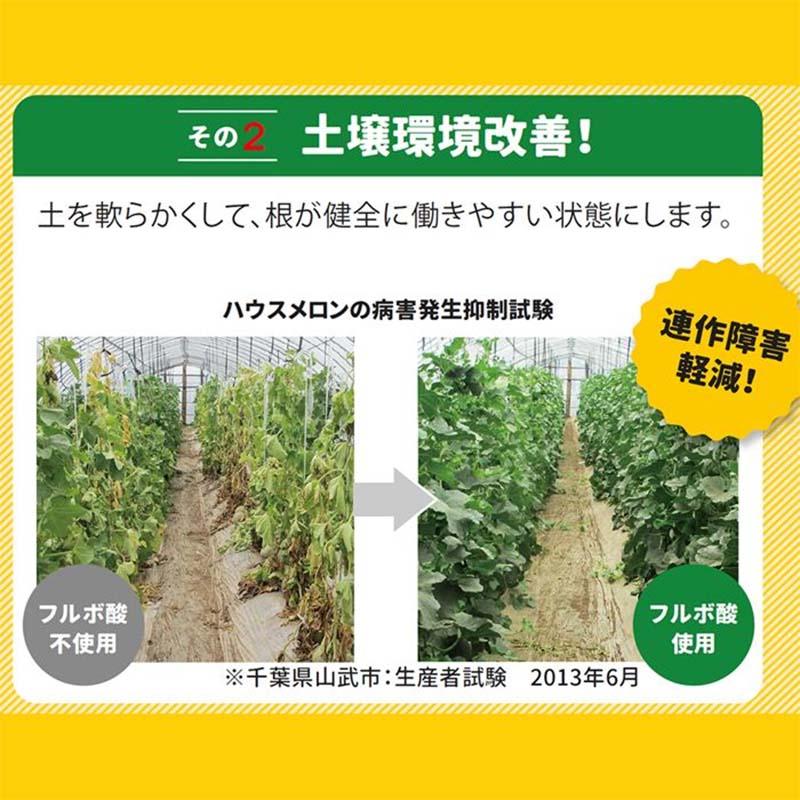 有機質含有肥料 驚くほど根がぐんぐん伸びる素 500g 12袋 細粒 顆粒 肥料 農業 園芸 ピィアイシィバイオ サT 北海道別途送料 代引不可 |  | 02
