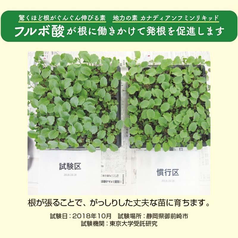 有機質含有肥料 驚くほど根がぐんぐん伸びる素 500g 12袋 細粒 顆粒 肥料 農業 園芸 ピィアイシィバイオ サT 北海道別途送料 代引不可 |  | 04