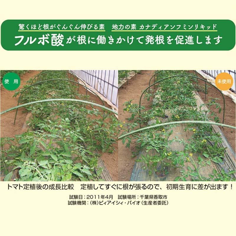 有機質含有肥料 驚くほど根がぐんぐん伸びる素 500g 12袋 細粒 顆粒 肥料 農業 園芸 ピィアイシィバイオ サT 北海道別途送料 代引不可 |  | 05