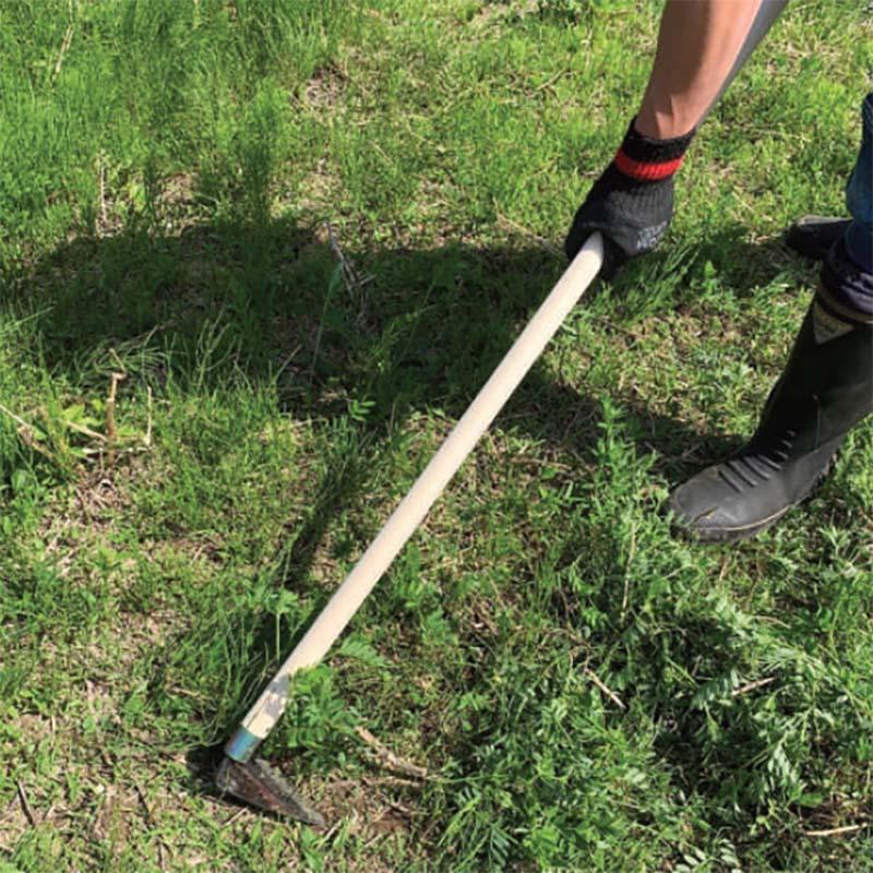 相馬ホー 三角型 195mm 手打鋼付 09140 鍬 鎌 三角ホー くわ 除草 草削り 燕三条製 浅野木工所 H | 浅野木工所 | 02