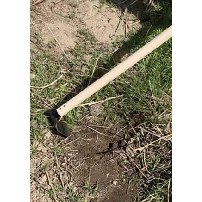 立ったまま草取り鎌 120mm 鋼付 10145 鎌 かま 長柄 除草 草削り 浅野木工所 H |  | 03