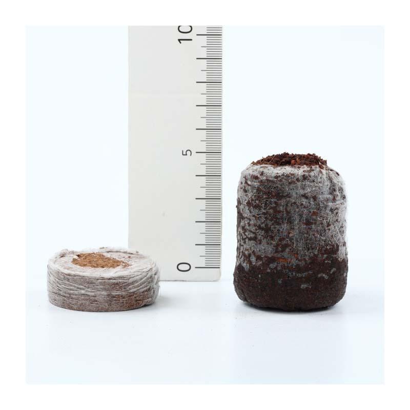 ジフィーセブンC 50×60mm 560個入 PLA ココピート　種まき　育苗 ジフィーセブンC 50mm 560個入 PLA ココピート 種まき 育苗 苗