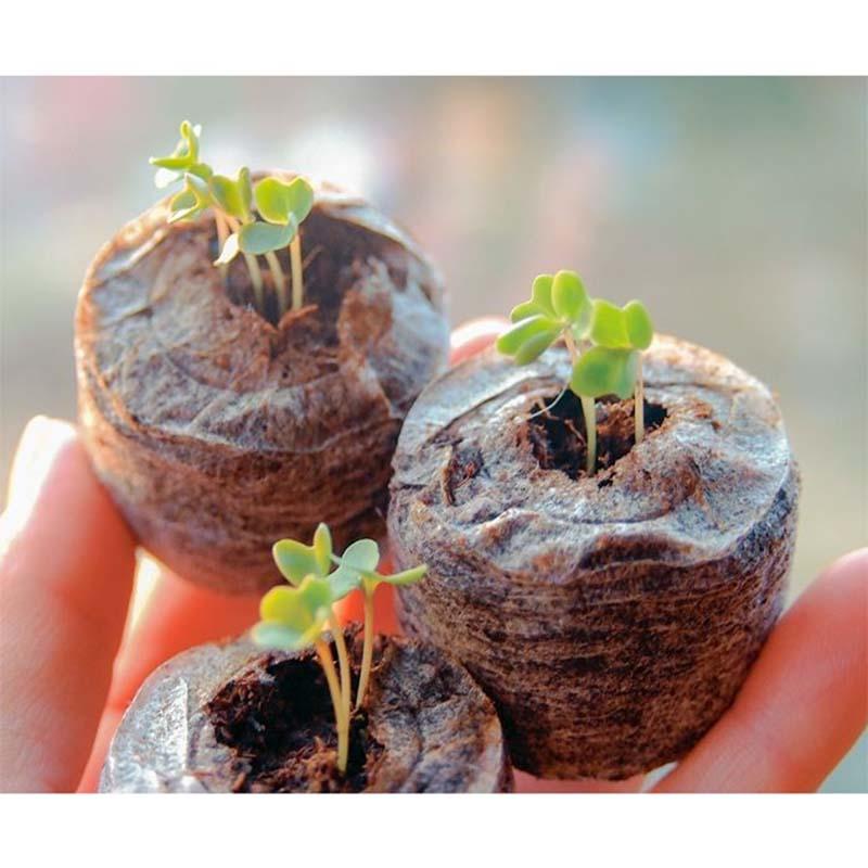 ジフィーセブン 直径約30mm 業務用 2000個入　タネまき 育苗 ピートモス ジフィーセブン 直径約30mm 業務用 2000個入タネまき 育苗 ピートモス