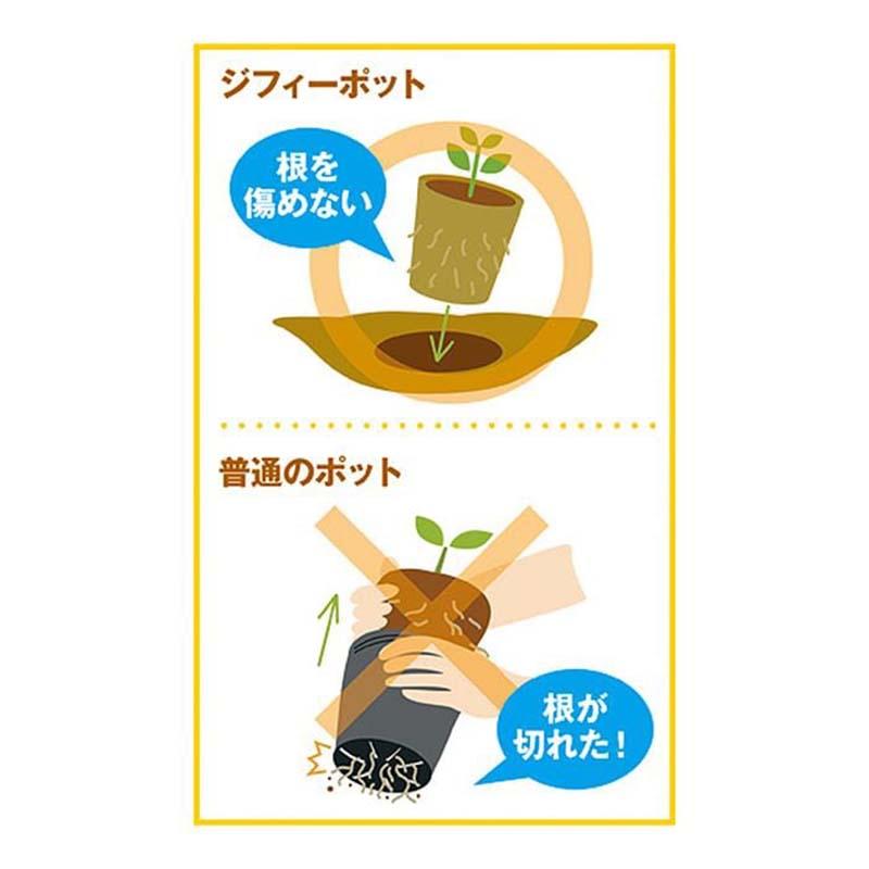ジフィーポット 丸型5.5cm 約3400個入り スリット入り　そのまま植えれる そのまま植えられるエコポット ジフィーポット 丸型 5.5cm 3400