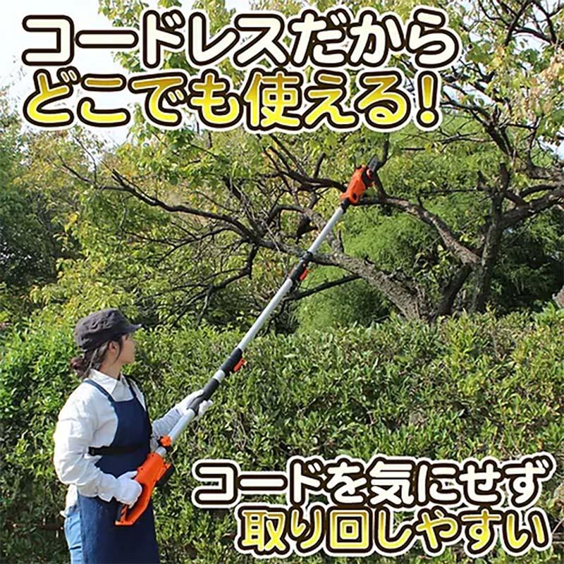 チェーンソー コードレス24V高枝チェーンソー LSC17-JP 剪定 チェンソー ガーデニング 園芸 YARD FORCE ヤードフォース 福KD |  | 01