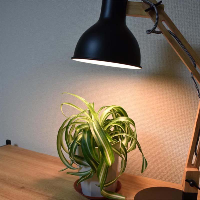 植物育成ライト LED電球 BULB&PAR 口金E26 LPL05WB3K 3600K 白色LED 植物 光合成 日照不足対策 照明 フュ―チャーライト カ園 個人宅配送不可 代引不可 |  | 05