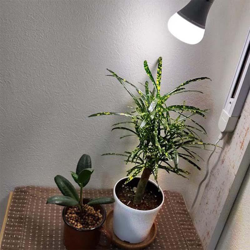 植物育成ライト LED電球 BULB&PAR 口金E26 LPL05WB3K 3600K 白色LED 植物 光合成 日照不足対策 照明 フュ―チャーライト カ園 個人宅配送不可 代引不可 |  | 06