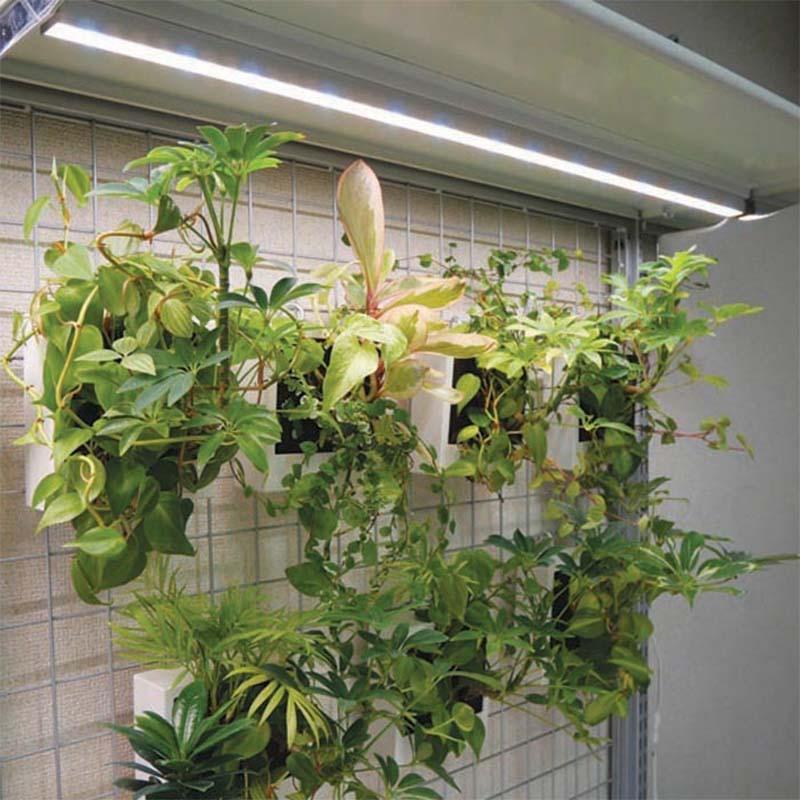 植物育成ライト バータイプ LPLAC05L 570mm 8W 白色LED 植物 光合成 日照不足対策 インテリア 照明 フュ―チャーライト カ園 個人宅配送不可 代引不可 |  | 01
