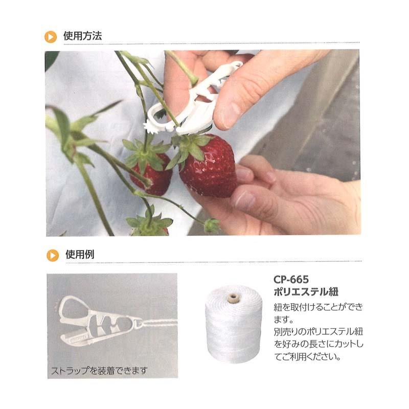 イチゴ収穫ハサミ ベリーチョッパー CP-695 ホワイト 300個 イチゴ 収穫 はさみ 鋏 使い捨て 園芸 農業 観光農園 タキゲン サT 代引不可 |  | 02