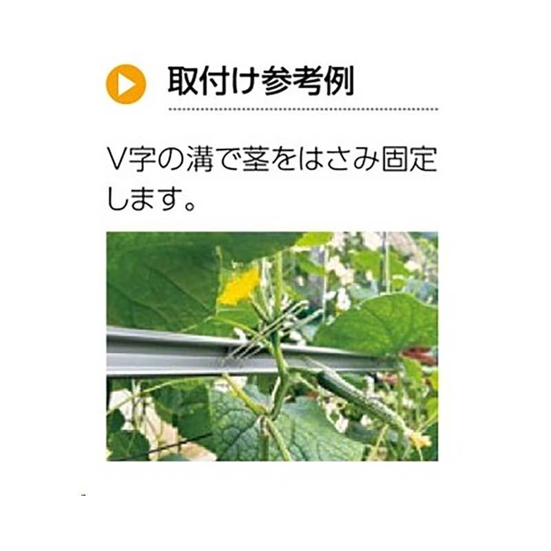 誘引資材 針金M字フック C-1624-1 500個 キュウリの誘引 きゅうり 栽培 園芸 農業 タキゲン サT 代引不可 |  | 02