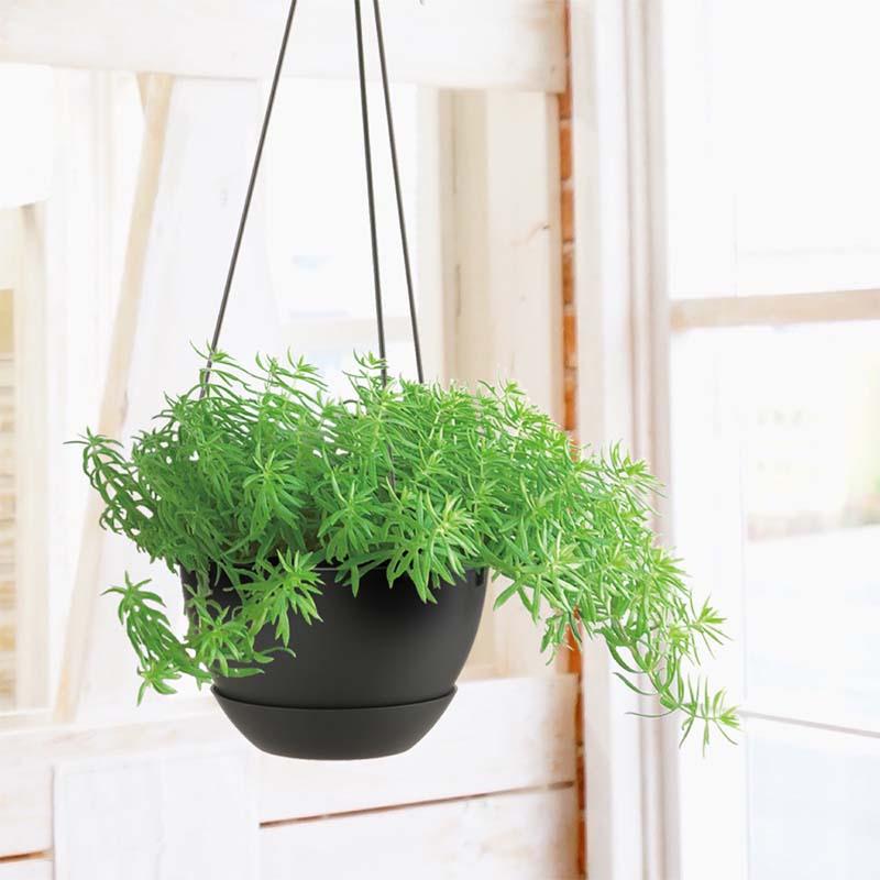 鉢 ハンギングボール プレーン 7号 リッチェル 40個 吊鉢 吊り鉢 ガーデン用品 ガーデニング Richell カ園 個人宅配送不可 代引不可 |  | 03