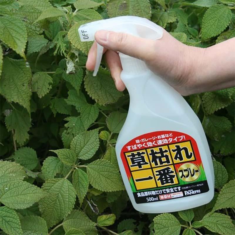 20本 草枯れ一番 スプレー 500ml 除草剤 速効タイプ 除草 雑草対策 非農耕地用 食品原料 安全 庭 ガレージ 日本製 パネフリ タS 代引不可 |  | 01