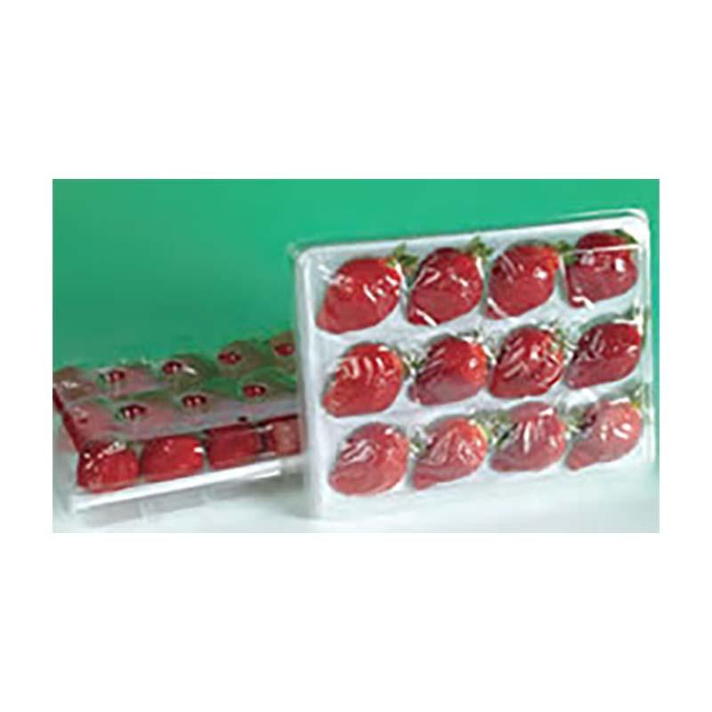 いちご容器 ゆりかーご Aタイプ 15玉 上下セット 456枚 イチゴ容器 苺 トレー ケース フタ付き 大石産業 カ施 個人宅配送不可 代引不可 |  | 02