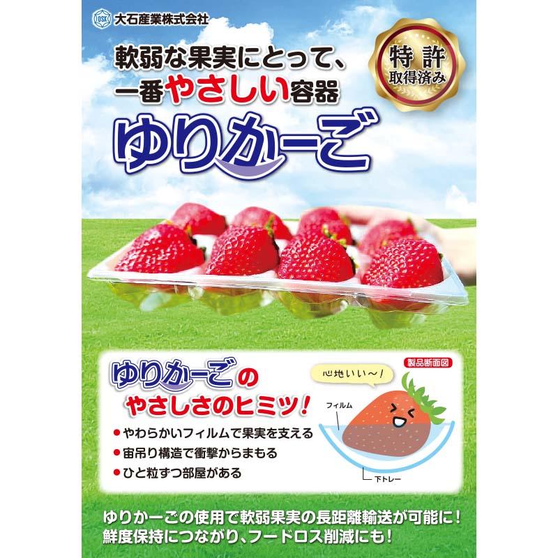 いちご容器 ゆりかーご Bタイプ 3玉 Lサイズ 120枚 イチゴ容器 苺 トレー ケース フタ付き 大石産業 カ施 個人宅配送不可 代引不可 |  | 03