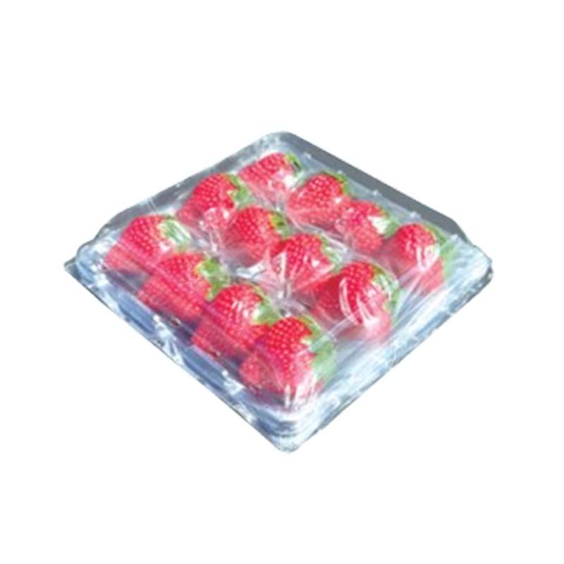 いちご容器 ゆりかーご Bタイプ 12玉 75枚 イチゴ容器 苺 トレー ケース フタ付き 大石産業 カ施 個人宅配送不可 代引不可 | 