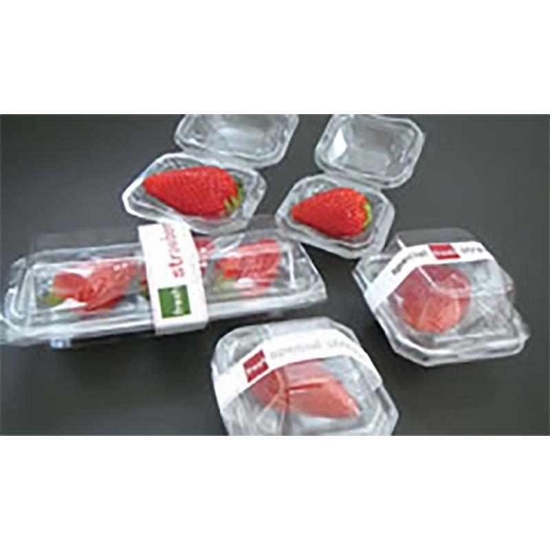 いちご容器 ゆりかーご Bタイプ 12玉 75枚 イチゴ容器 苺 トレー ケース フタ付き 大石産業 カ施 個人宅配送不可 代引不可 |  | 01