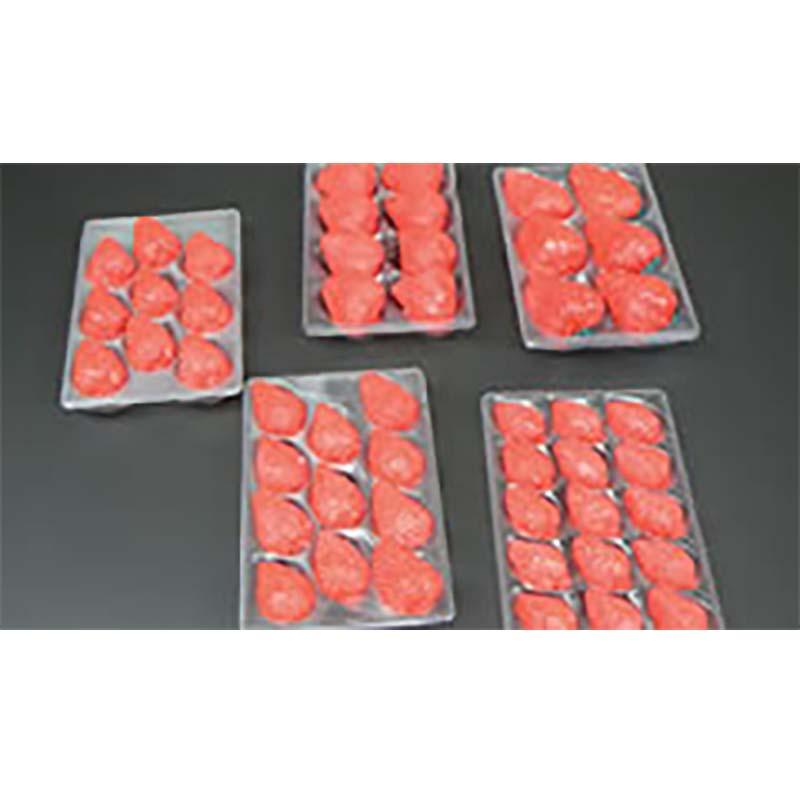 ゆりかーごE２４　　大石産業　いちご用 ゆりかーごE24 大石産業 いちご用