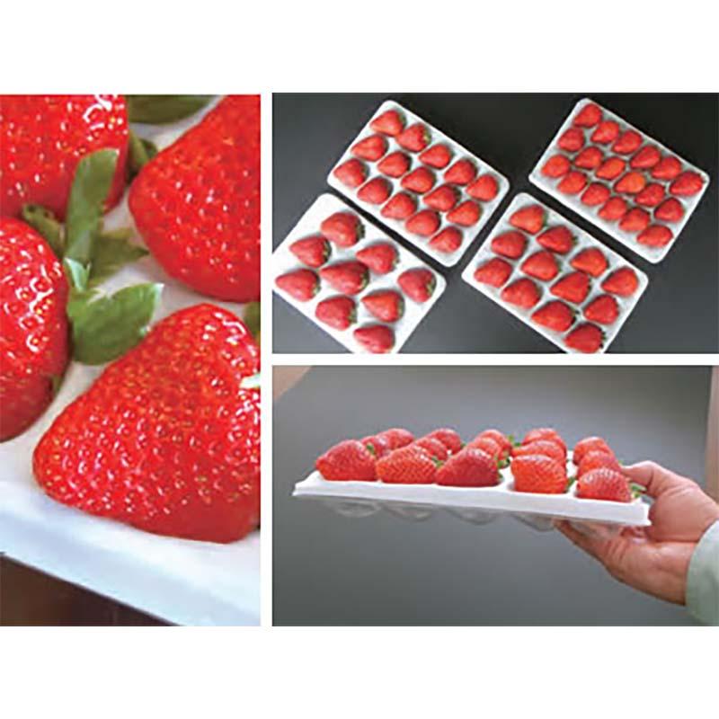 いちご容器 ゆりかーご Eタイプ 小玉 250枚 イチゴ容器 苺 トレー ケース フタなし 大石産業 カ施 個人宅配送不可 代引不可 |  | 02