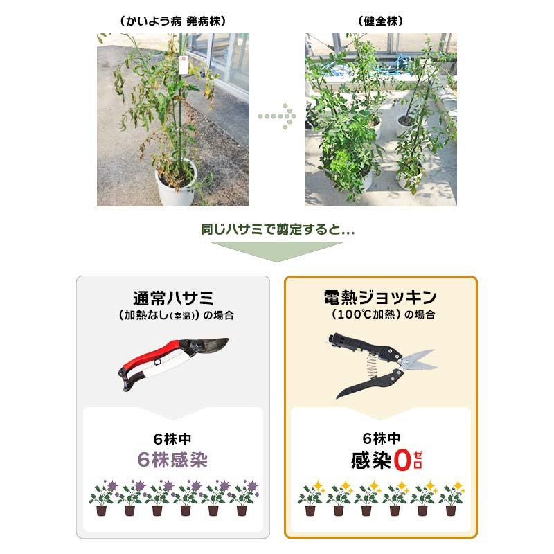 電熱式除菌バサミ 電熱ジョッキン 一式 ヒーターバサミ 摘花 採果 鋏 ハサミ はさみ 除菌 イージーエス タS 代引不可 |  | 05