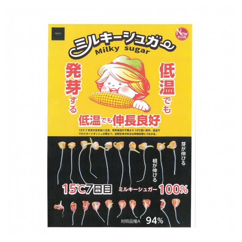 種 トウモロコシ ミルキーシュガー80 小袋 70粒 とうもろこし トキタ種苗 米S D |  | 04