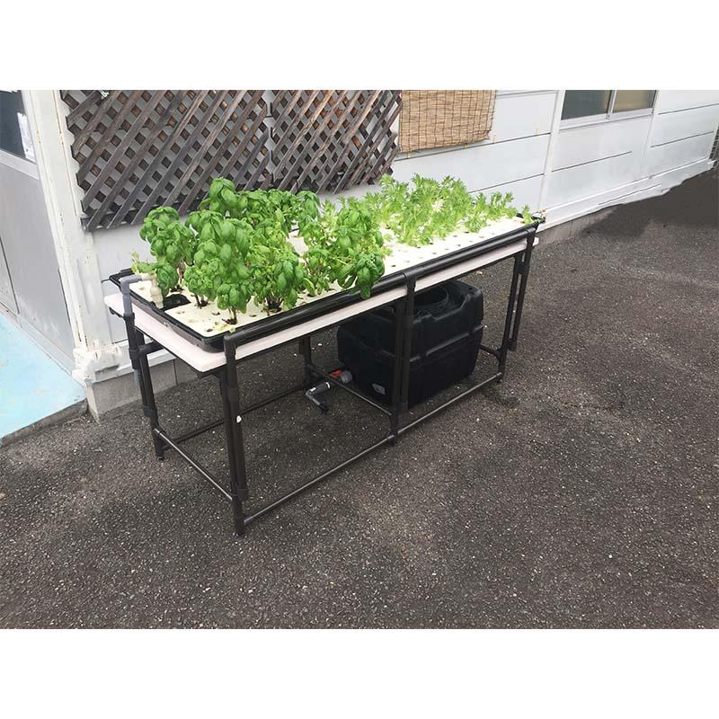 水耕栽培ミニプラント FRESH-PONICA フレッシュポニカ 水耕栽培 家庭菜園 コンパクト 協和 ハイポニカ カ園 北海道不可 個人宅配送不可 代引不可 |  | 04