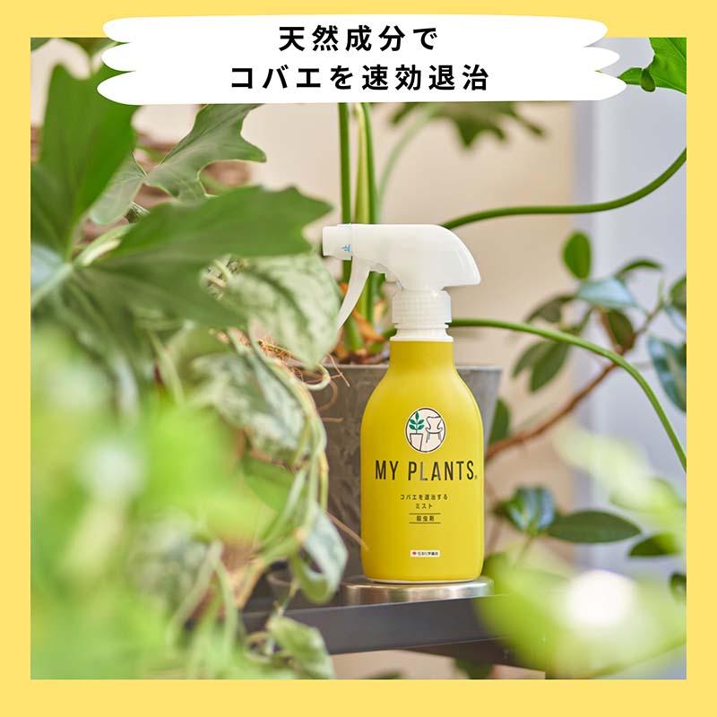 殺虫剤 MY PLANTS コバエを退治するミスト 250ml 30本 観葉植物 農薬 住友化学園芸 Vデ 個人宅配送不可 代引不可 |  | 02