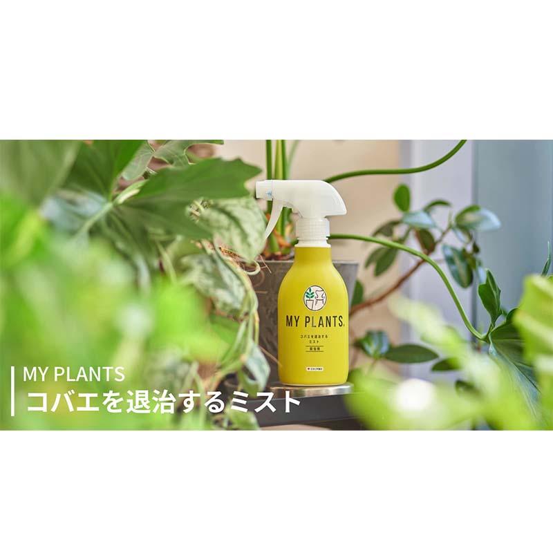 殺虫剤 MY PLANTS コバエを退治するミスト 250ml 30本 観葉植物 農薬 住友化学園芸 Vデ 個人宅配送不可 代引不可 |  | 05