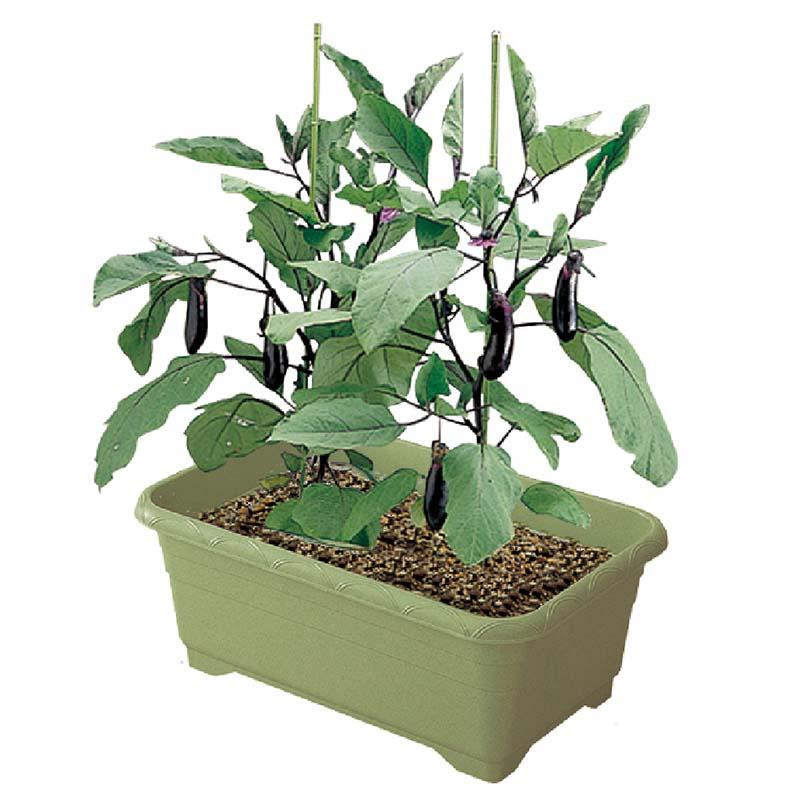 プランター 実のなるやさいプランター 65型 リッチェル 12個 鉢 園芸 家庭菜園 ガーデン用品 ガーデニング Richell カ園 個人宅配送不可 代引不可 |  | 01