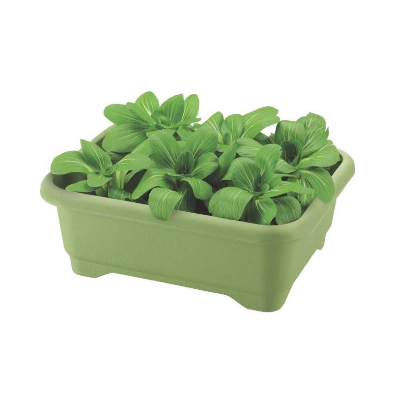 プランター 緑のやさいプランター 50型 リッチェル 20個 鉢 園芸 家庭菜園 ベランダ菜園 ガーデニング Richell カ園 個人宅配送不可 代引不可 |  | 01