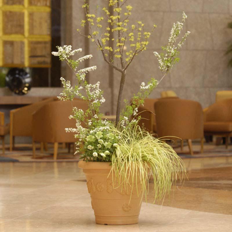 植木鉢 アンティコ 鉢 65型 リッチェル 5個 プランター 丸型 園芸 ガーデニング ガーデン用品 Richell カ園 個人宅配送不可 代引不可 |  | 01