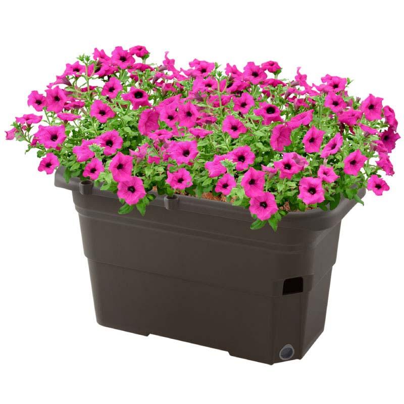 うるオン プランター 65型 リッチェル 8個 底面給水プランター 鉢 園芸 家庭菜園 ガーデニング ガーデン用品 Richell カ園 個人宅配送不可 代引不可 |  | 01