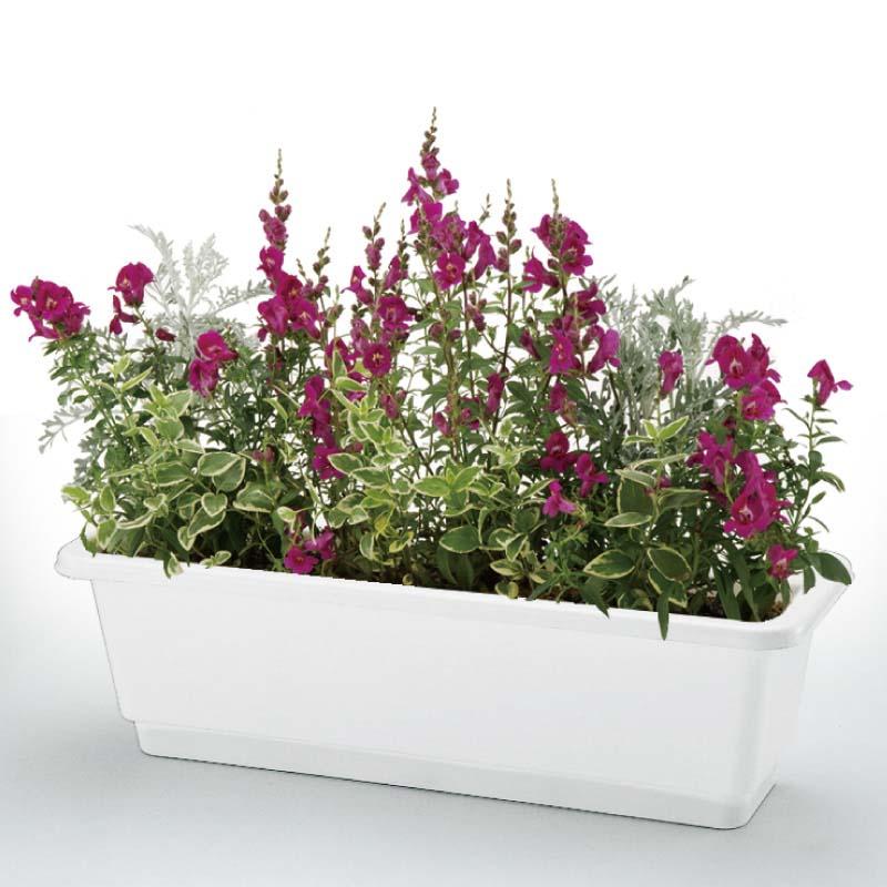 プランター ホームプランター 65E リッチェル 25個 目皿付き 鉢 園芸 ガーデニング ガーデン用品 Richell カ園 個人宅配送不可 代引不可 |  | 01