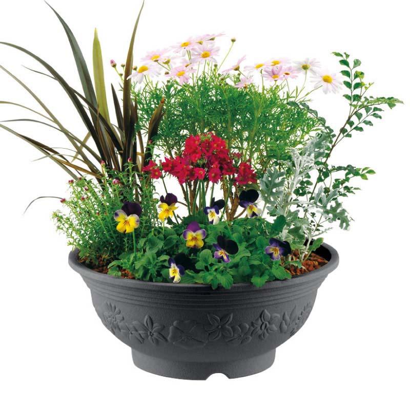 プランター ハナール ボール 30型 リッチェル 48個 鉢 植木鉢 園芸 寄せ植え ガーデニング ガーデン用品 Richell カ園 個人宅配送不可 代引不可 |  | 04