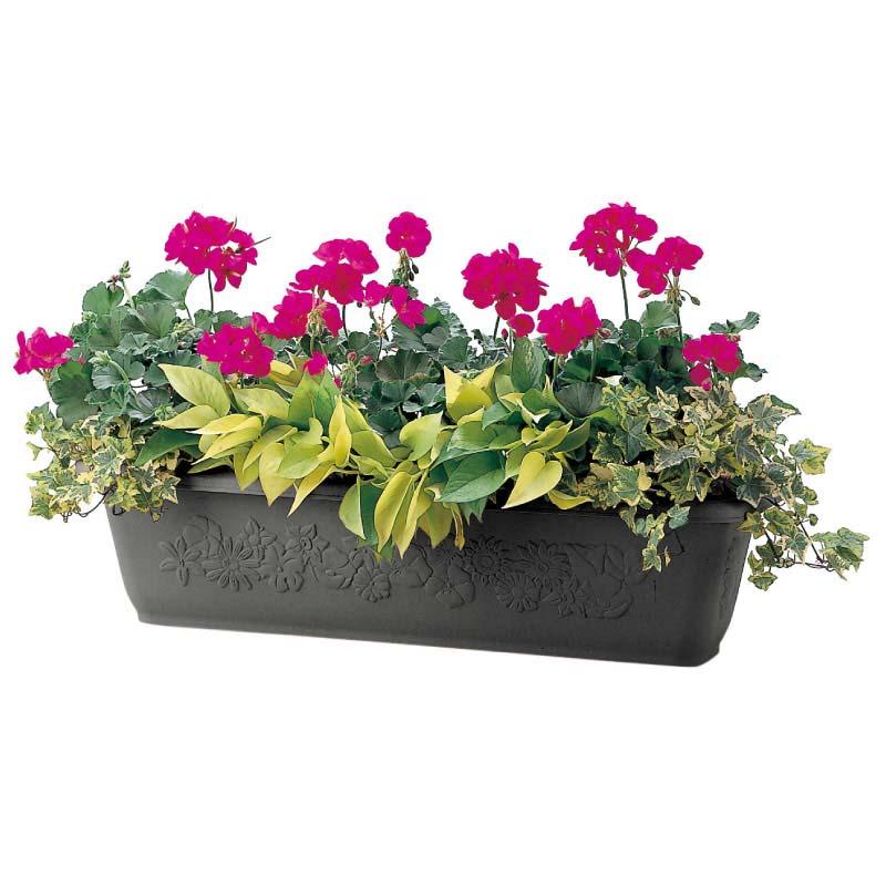 プランター ハナール プランター 65型 リッチェル 24個 鉢 植木鉢 園芸 寄せ植え ガーデニング ガーデン用品 Richell カ園 個人宅配送不可 代引不可 |  | 04