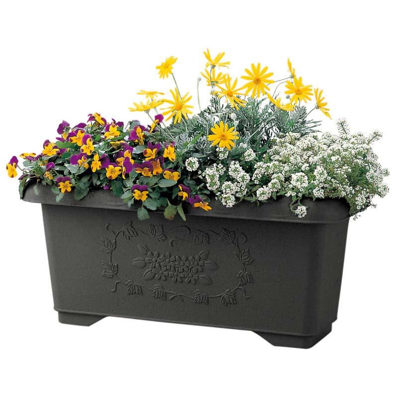 プランター ハナール 深型プランター 60型 リッチェル 14個 鉢 植木鉢 園芸 ガーデニング ガーデン用品 Richell カ園 個人宅配送不可 代引不可 |  | 04