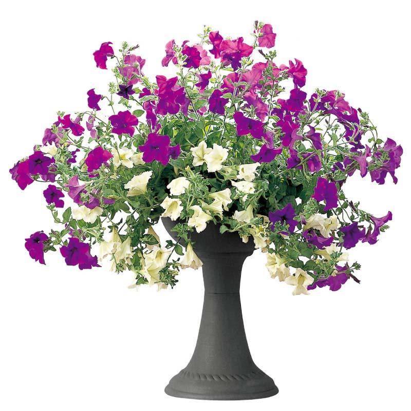 プランター ハナール ハイスタンドカップ 33型 リッチェル 12個 鉢 植木鉢 園芸 ガーデニング ガーデン用品 Richell カ園 個人宅配送不可 代引不可 |  | 04