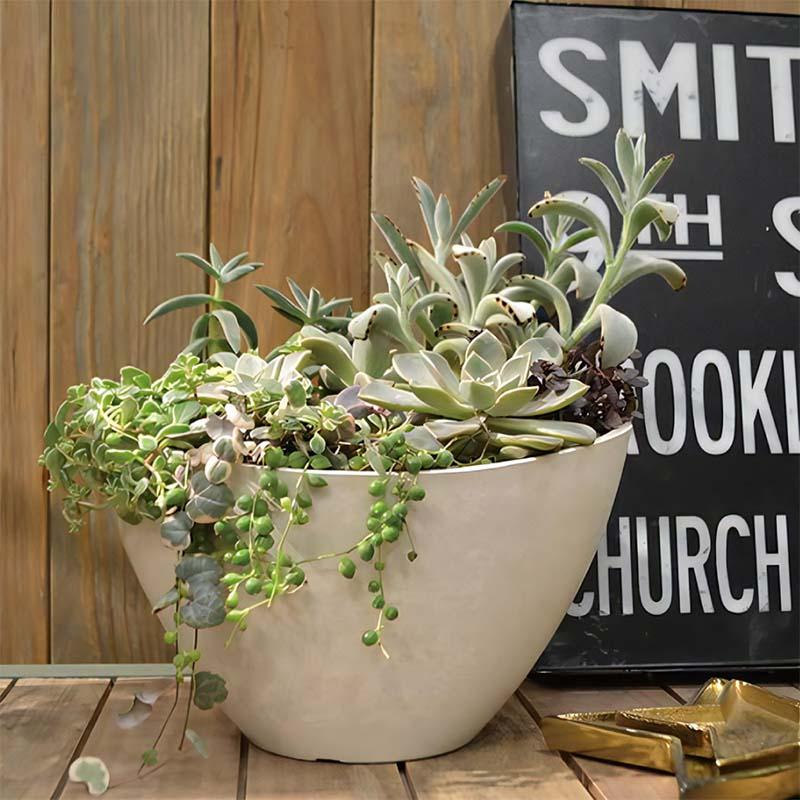 植木鉢 ボタニー バルカボール 30型 リッチェル 10個 鉢 ポット プランター 園芸 ガーデニング ガーデン用品 Richell カ園 個人宅配送不可 代引不可 |  | 04