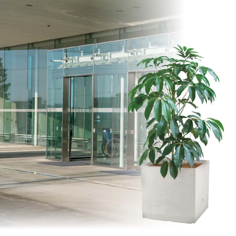 プランター ラヴィーレ プランターWS レクタングル 80型 リッチェル