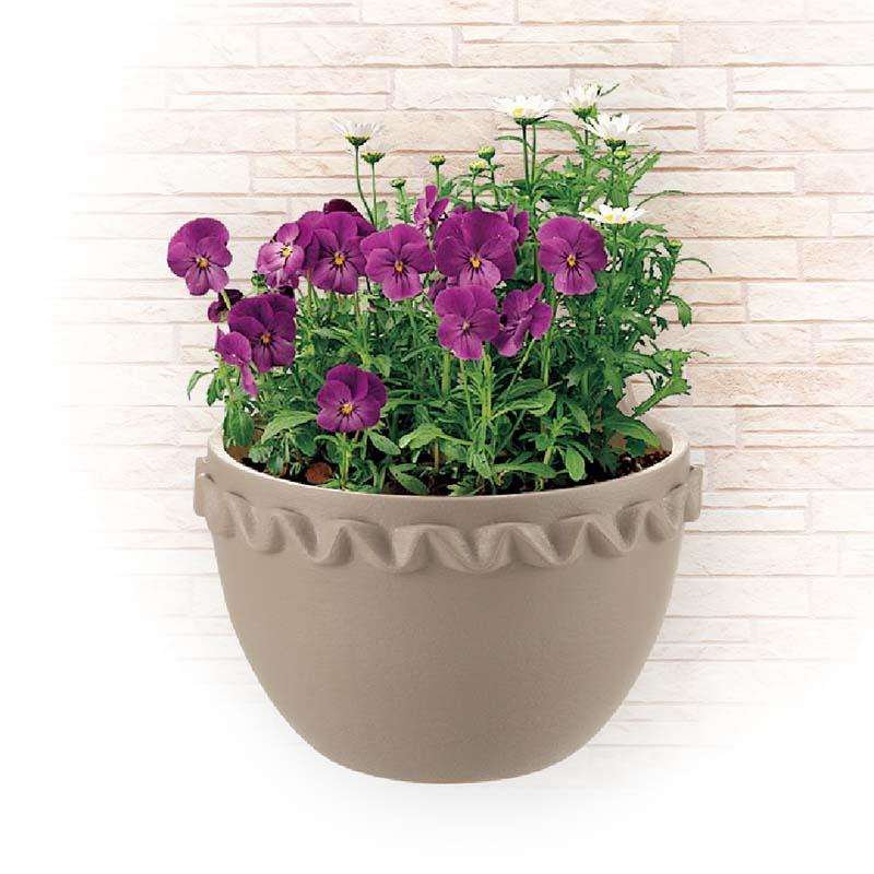 壁かけ鉢 ソレシア 壁かけ 28型N リッチェル 24個 鉢 植木鉢 プランター 園芸 ガーデニング ガーデン用品 Richell カ園 個人宅配送不可 代引不可 |  | 01