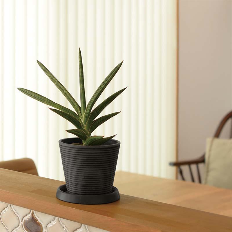 植木鉢 ボタニー ミディポット 20型 リッチェル 10個 鉢 ポット プランター 園芸 ガーデニング ガーデン用品 Richell カ園 個人宅配送不可 代引不可 |  | 04